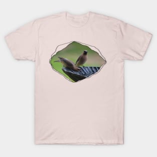 Cedar Waxwing through Torn Cloth T-Shirt